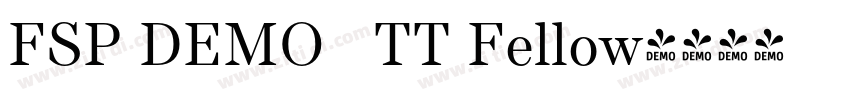 FSP DEMO   TT Fellow字体转换